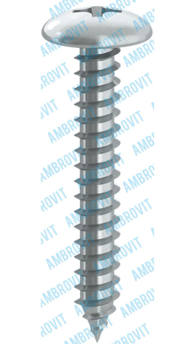 A1N1. VITI AUTOFILETTANTI TESTA 1/2 TONDA - 79380