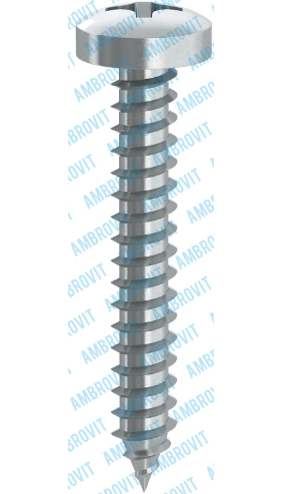 A1N. VITI AUTOFILETTANTI TC PH ZINCATE - 79810