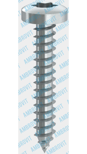 A1N. VITI AUTOFILETTANTI TC TX zincate - 79816