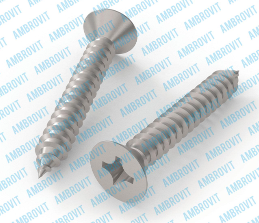A1M. VITI AUTOFILETTANTI TSP INOX - 79827