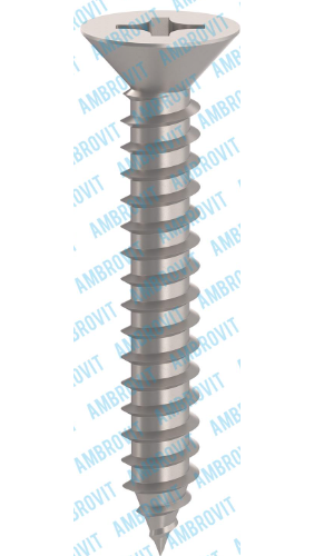 A1M. VITI AUTOFILETTANTI TSP INOX - 79827