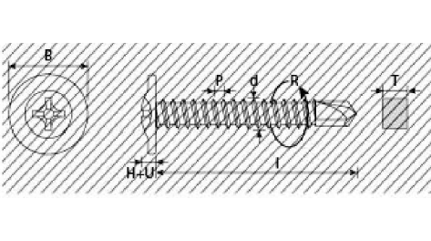 A1P. VITI AUTOFORANTI TFL - 81380