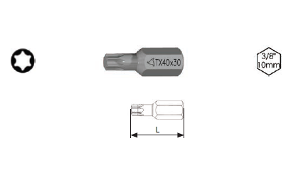 A4. INSERTI  3/8  10mm TORX